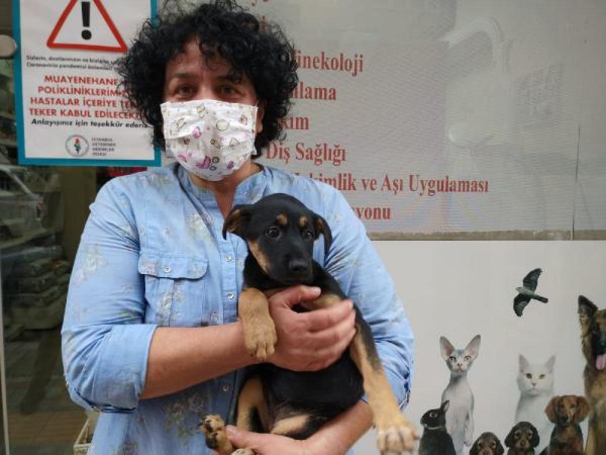 Rize'de mahallede köpek istemeyen akrabaları saldırdı