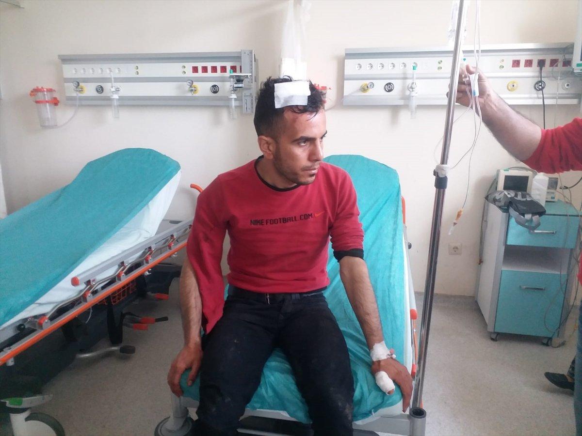 Kars'ta, 20 yaşındaki genç ayının saldırsına uğradı