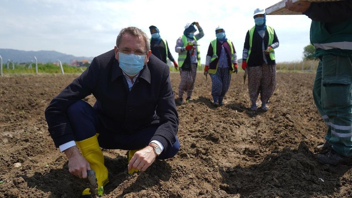 Tarım ve hayvancılıkta korona tedbirleri