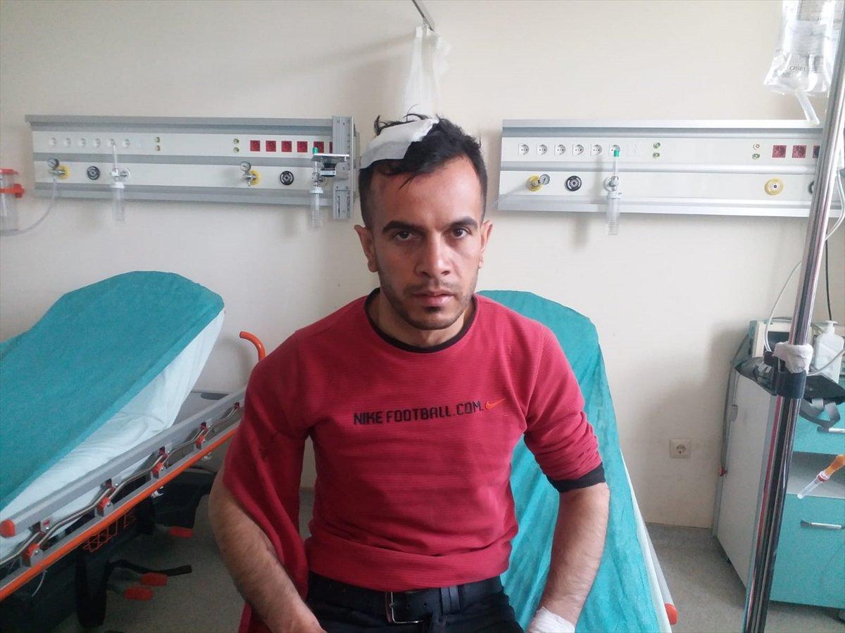 Kars'ta, 20 yaşındaki genç ayının saldırsına uğradı