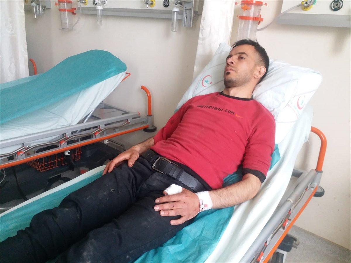 Kars'ta, 20 yaşındaki genç ayının saldırsına uğradı