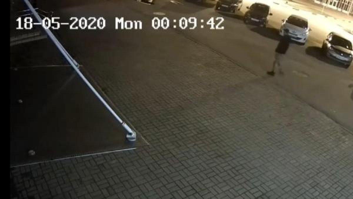 Rusya'da şehre inen ayı adama saldırdı