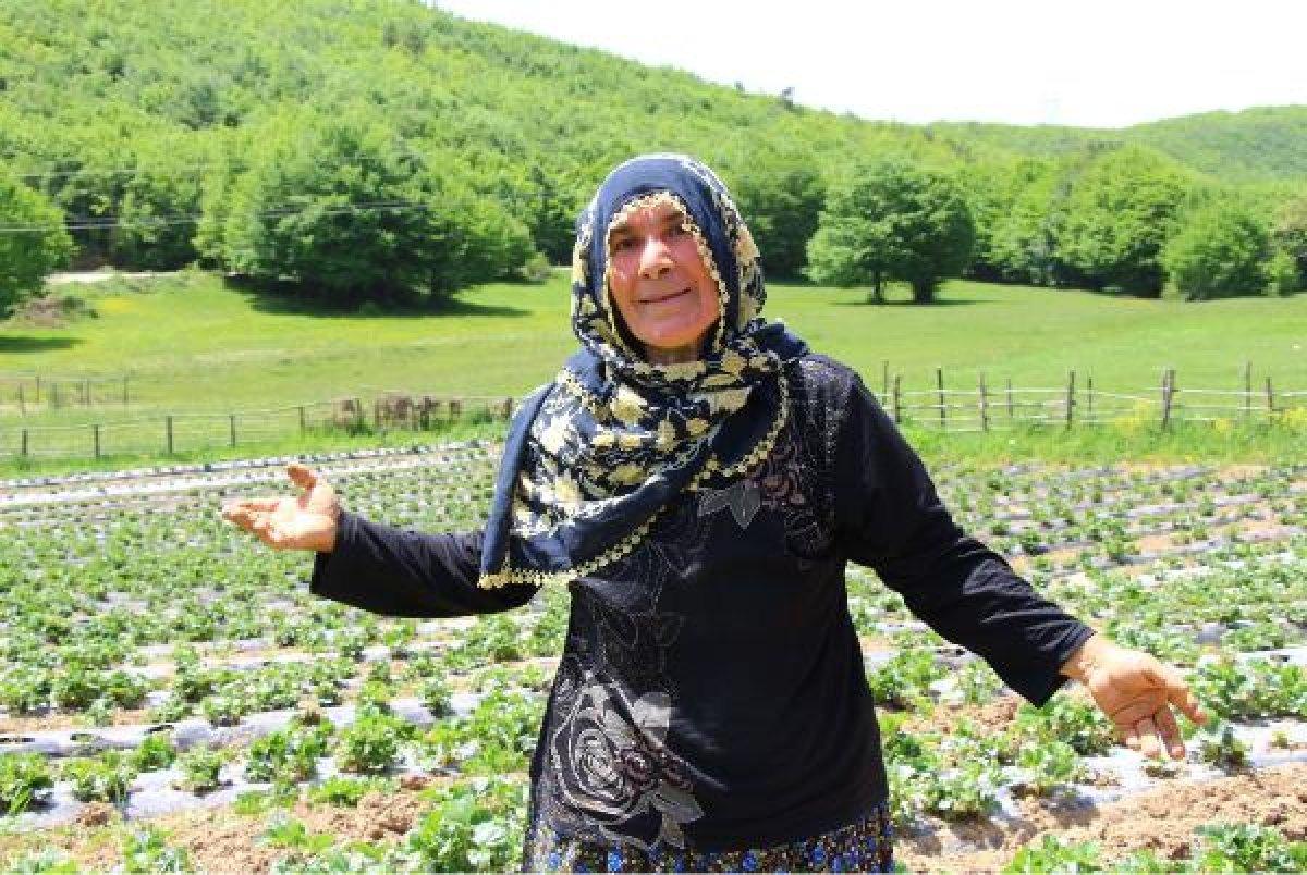 Emekli öğretmen çiftin toprak aşkı