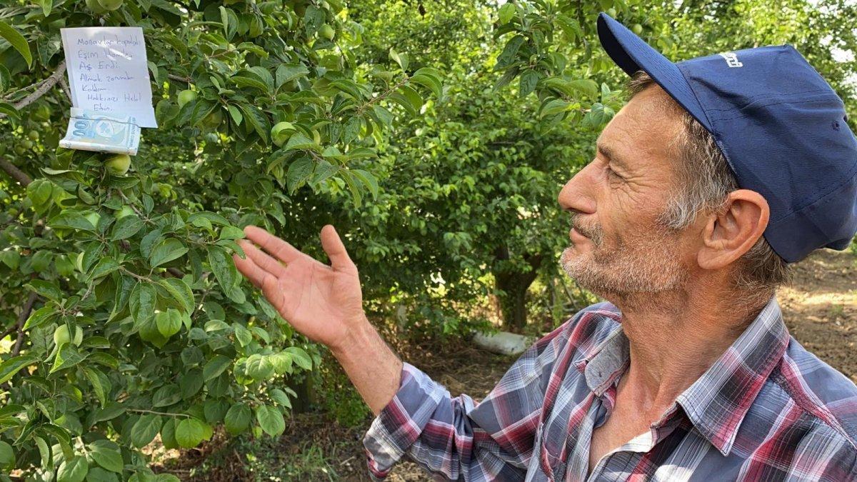 Hamile eşi için topladığı eriğin parasını ağaca astı