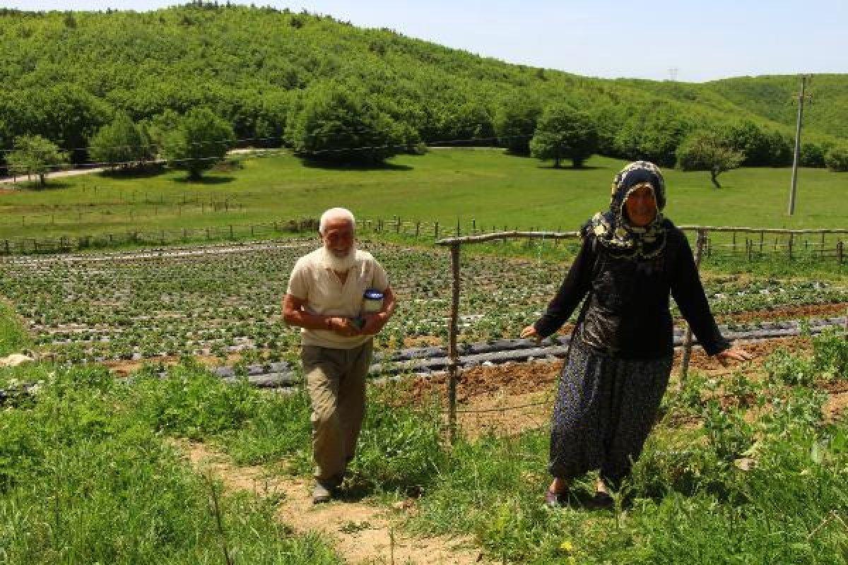 Emekli öğretmen çiftin toprak aşkı