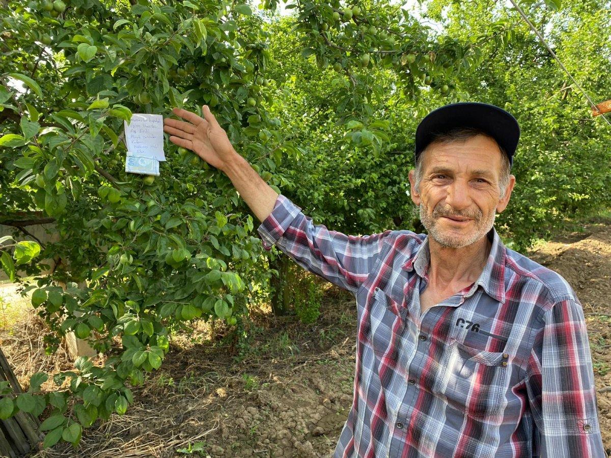 Hamile eşi için topladığı eriğin parasını ağaca astı