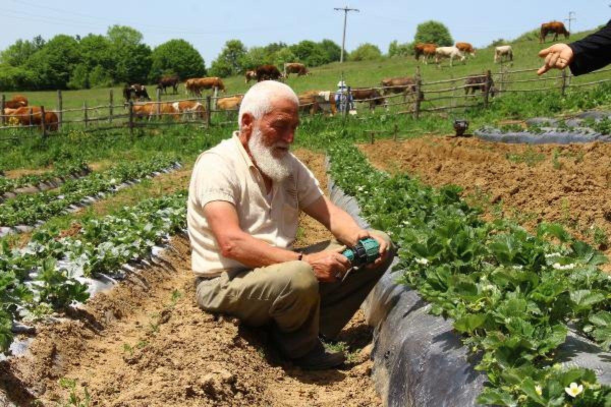 Emekli öğretmen çiftin toprak aşkı