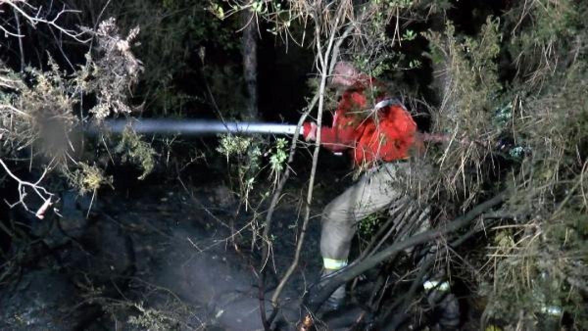 Aydos Ormanı’nda atılan havai fişek yangın çıkarttı