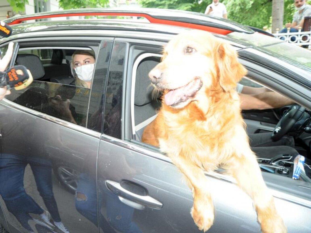 Muazzez Ersoy, köpeğiyle gezmeye çıktı