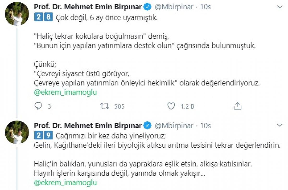 Bakan Yardımcısı Birpınar, Haliç gerçeğini yazdı
