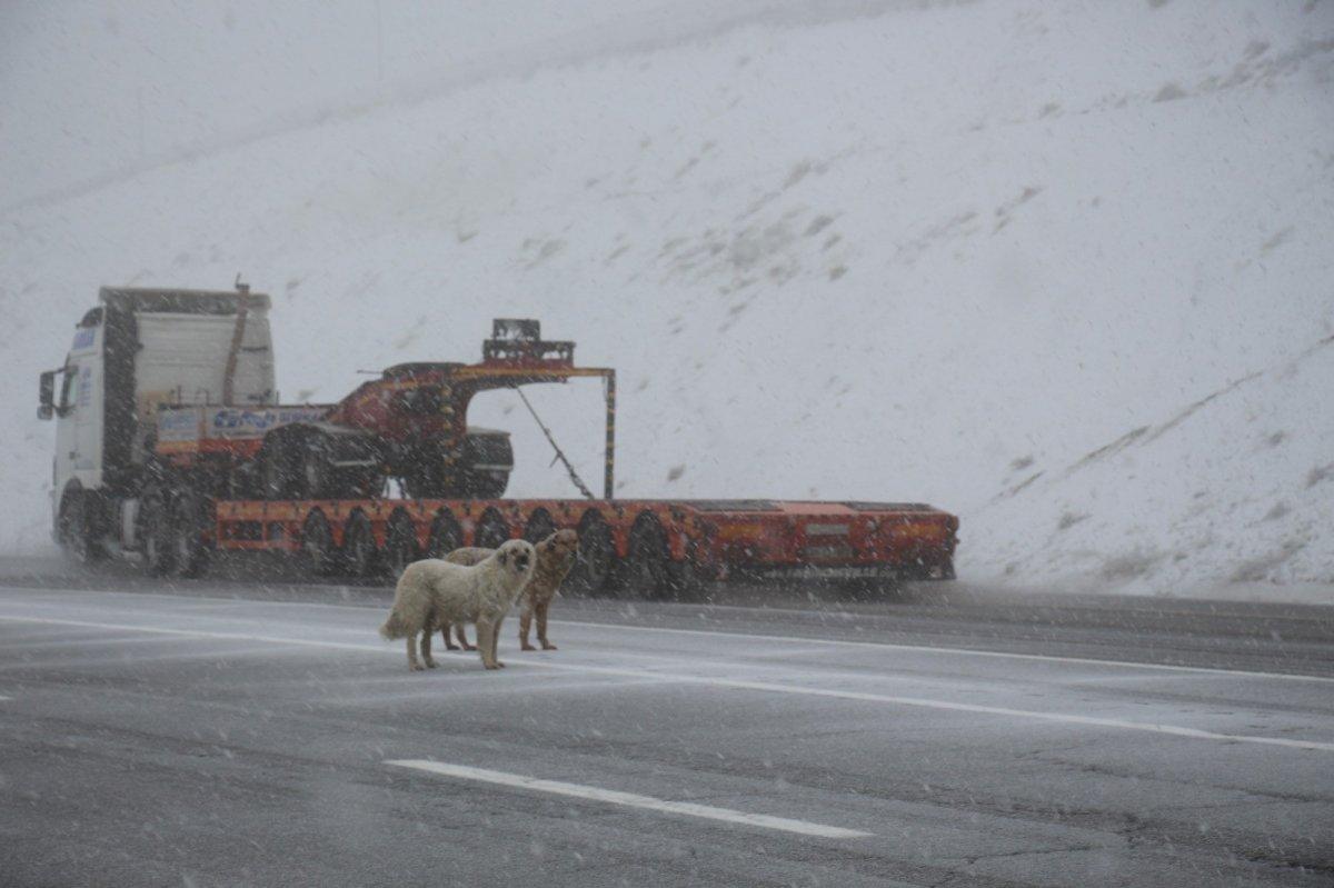 Erzurum'a bayramda lapa lapa kar yağdı