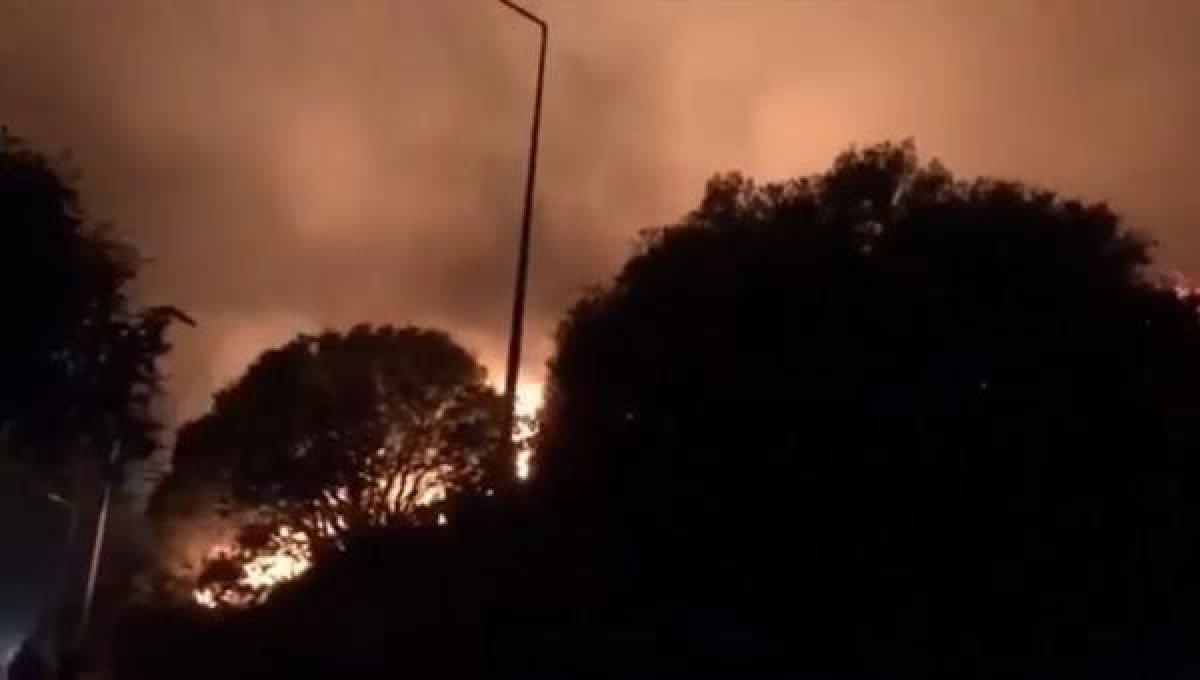 Kaş'ta gece saatlerinde orman yangını çıktı