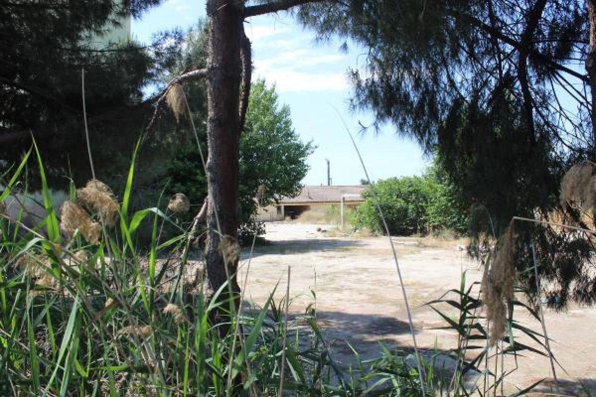 Manisa'da 17 yaşındaki Ceren'in katil zanlısı yakalandı