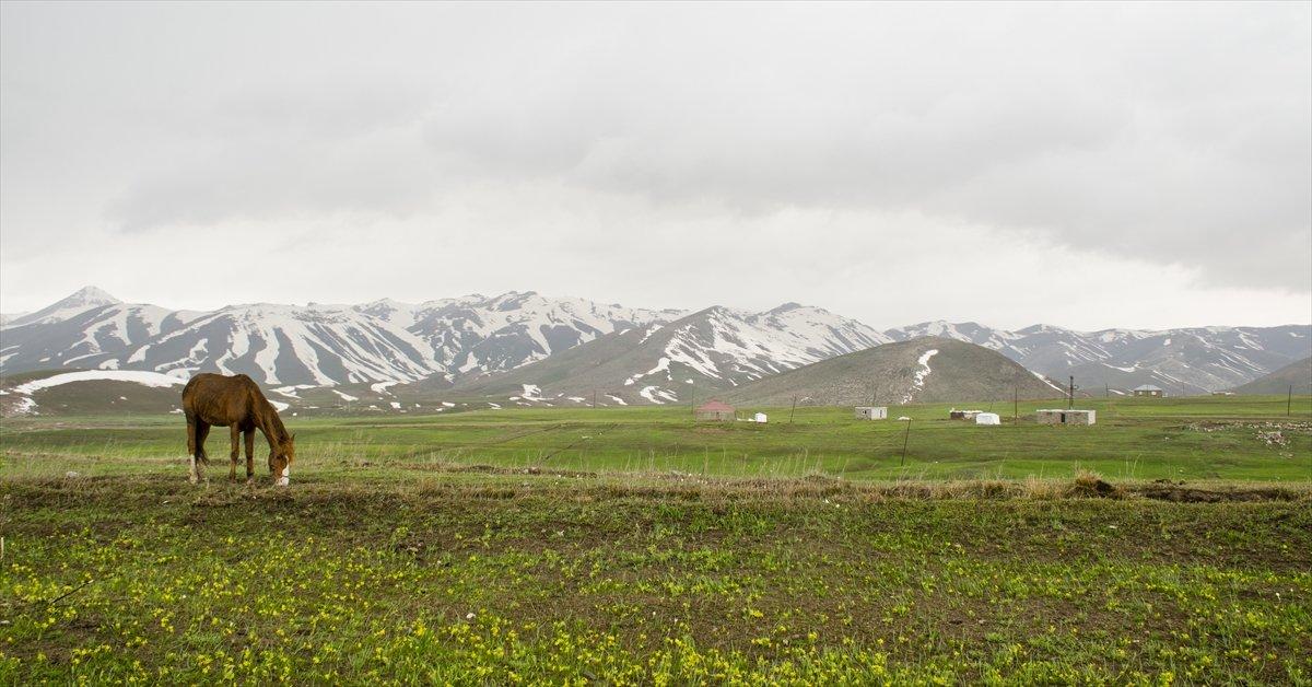 Faraşin Yaylası'ndan kartpostallık kareler