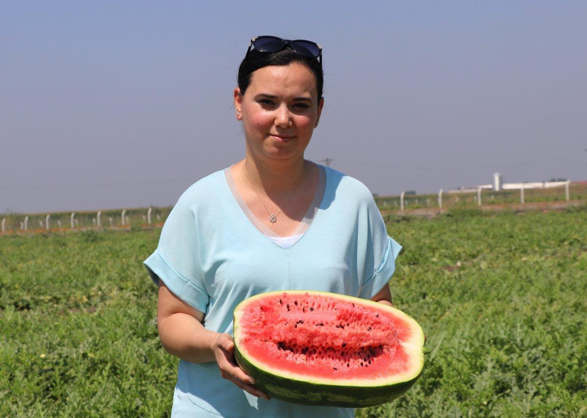 İthal karpuzun vergisi yükseltildi