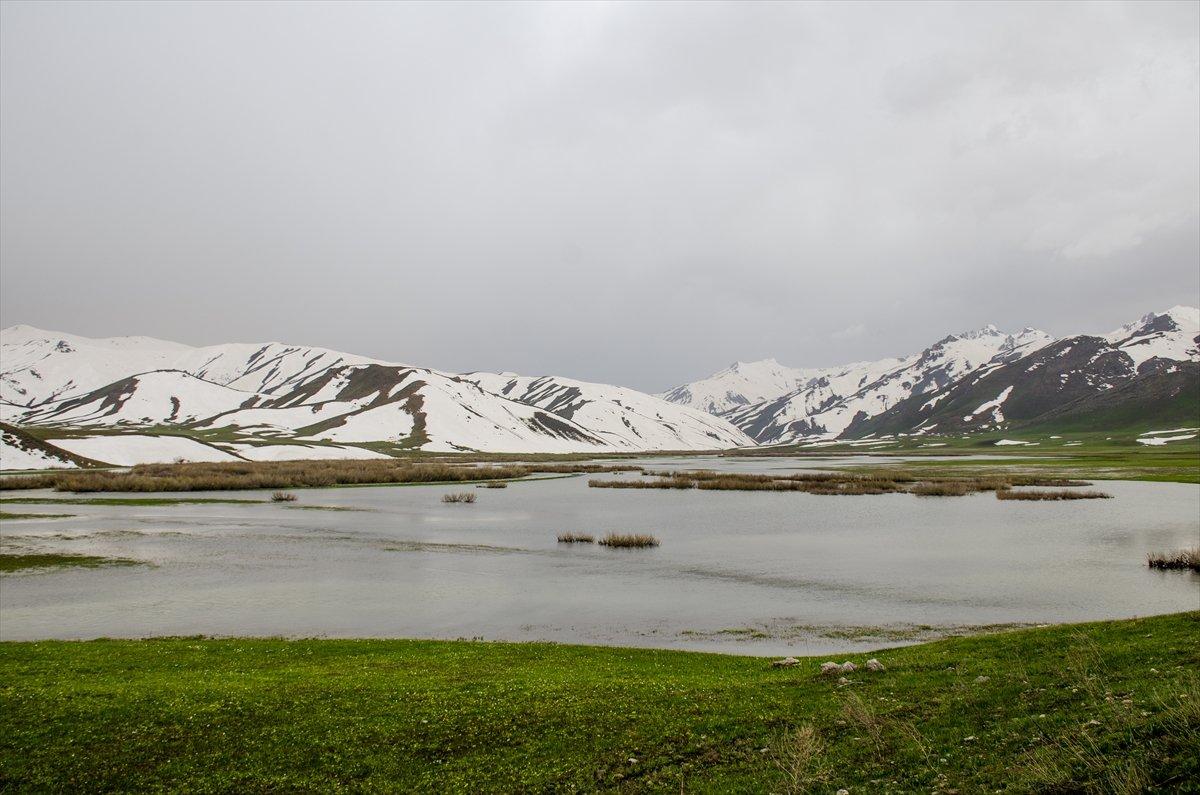 Faraşin Yaylası'ndan kartpostallık kareler