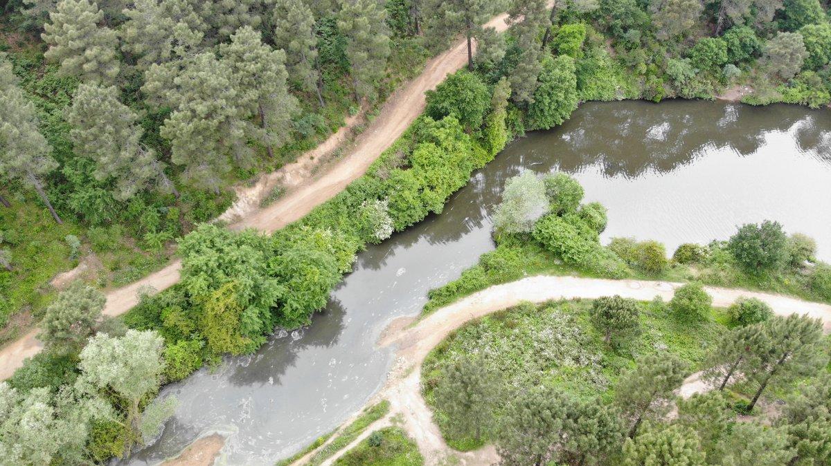 Aydos Ormanı'ndaki gölün içler acısı hali