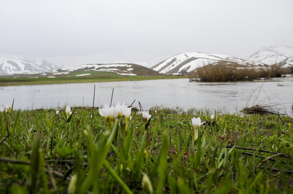 Faraşin Yaylası'ndan kartpostallık kareler