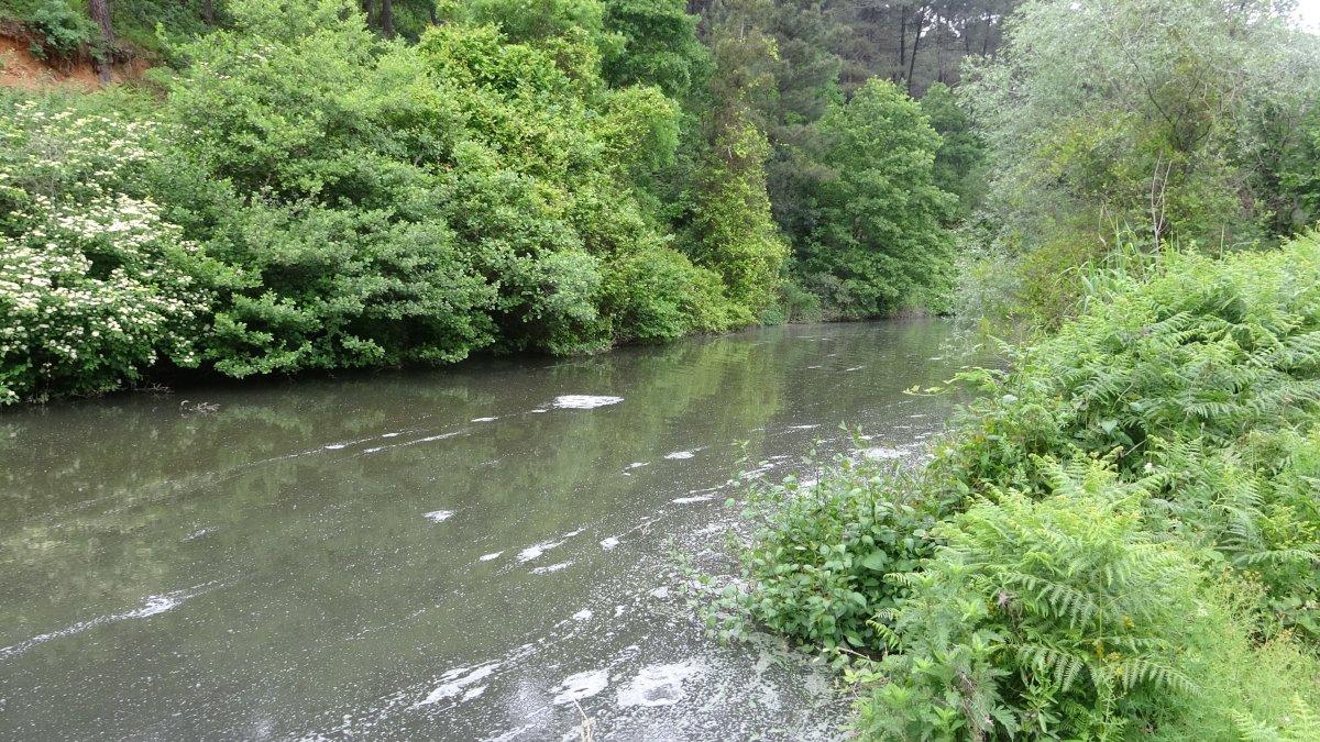 Aydos Ormanı'ndaki gölün içler acısı hali