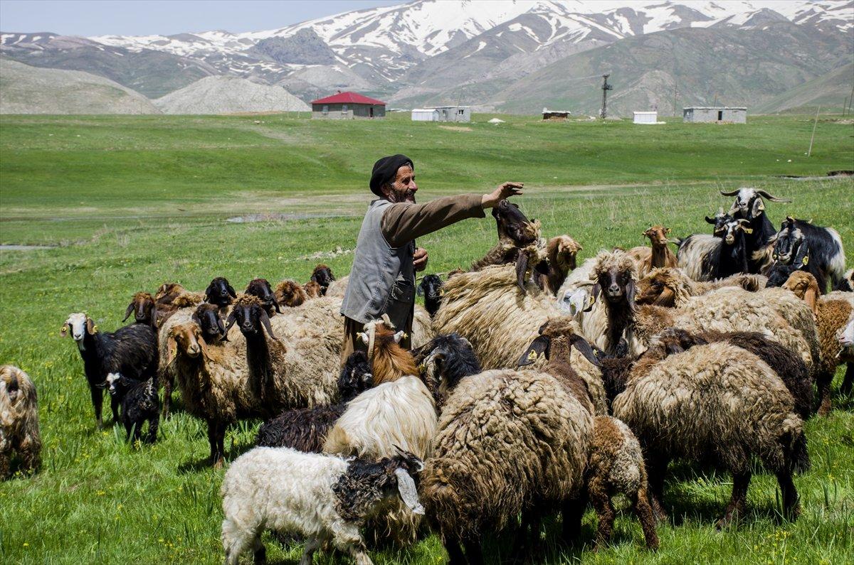 Faraşin Yaylası'ndan kartpostallık kareler