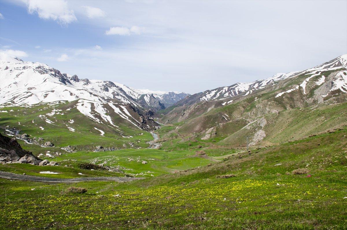 Faraşin Yaylası'ndan kartpostallık kareler