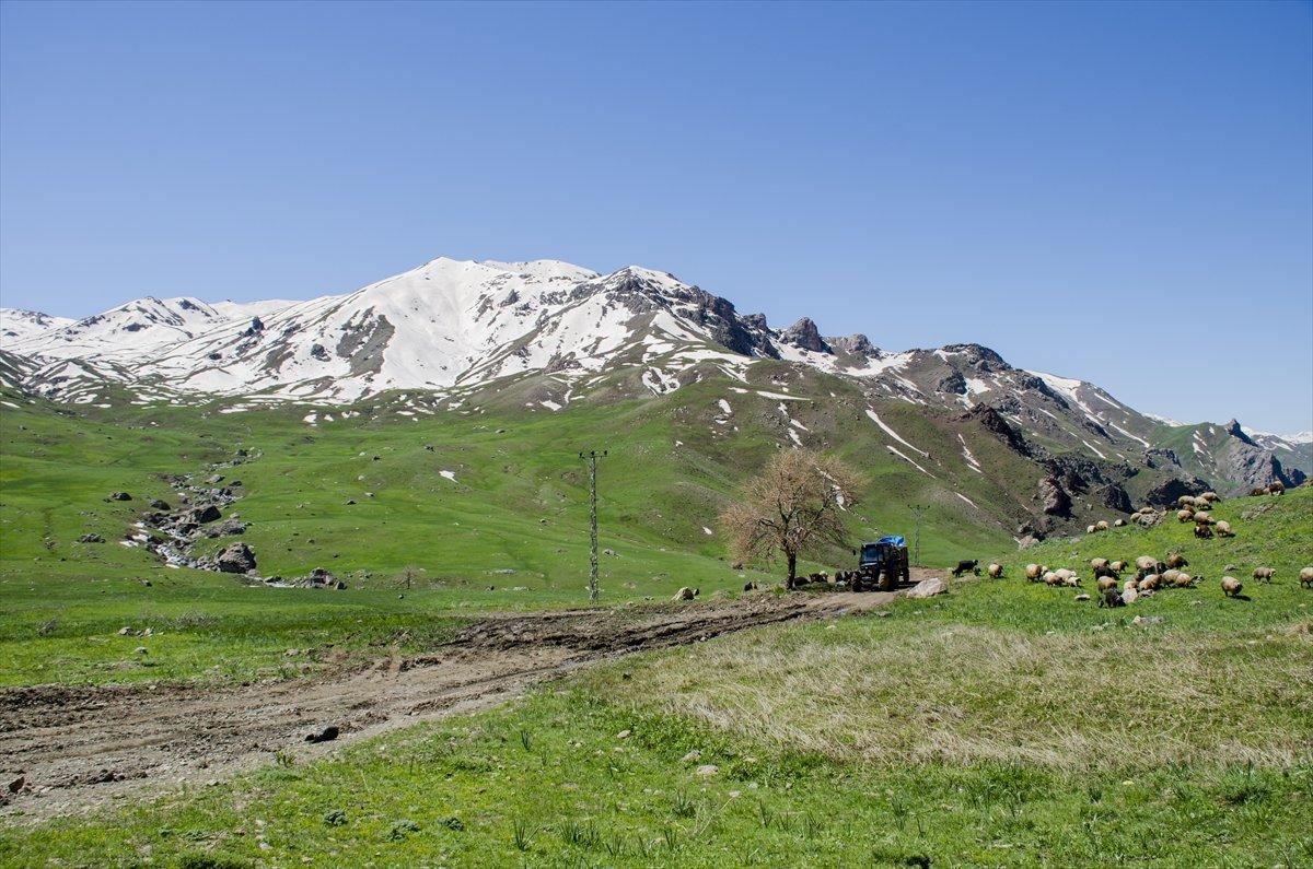 Faraşin Yaylası'ndan kartpostallık kareler