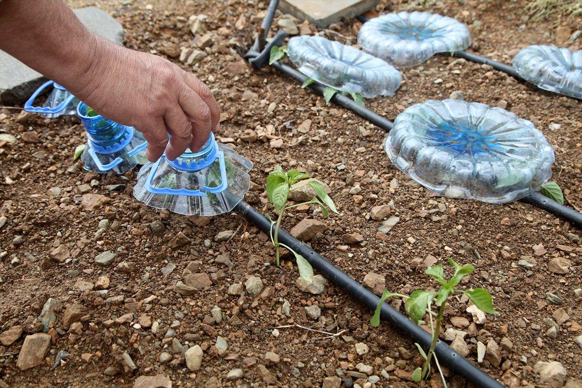 Erzincanlı çiftçiden dona karşı damacana ve poşetli önlem
