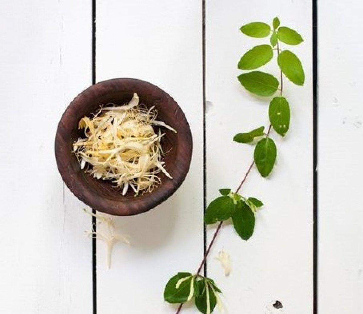 Hanımeli çiçeği nedir