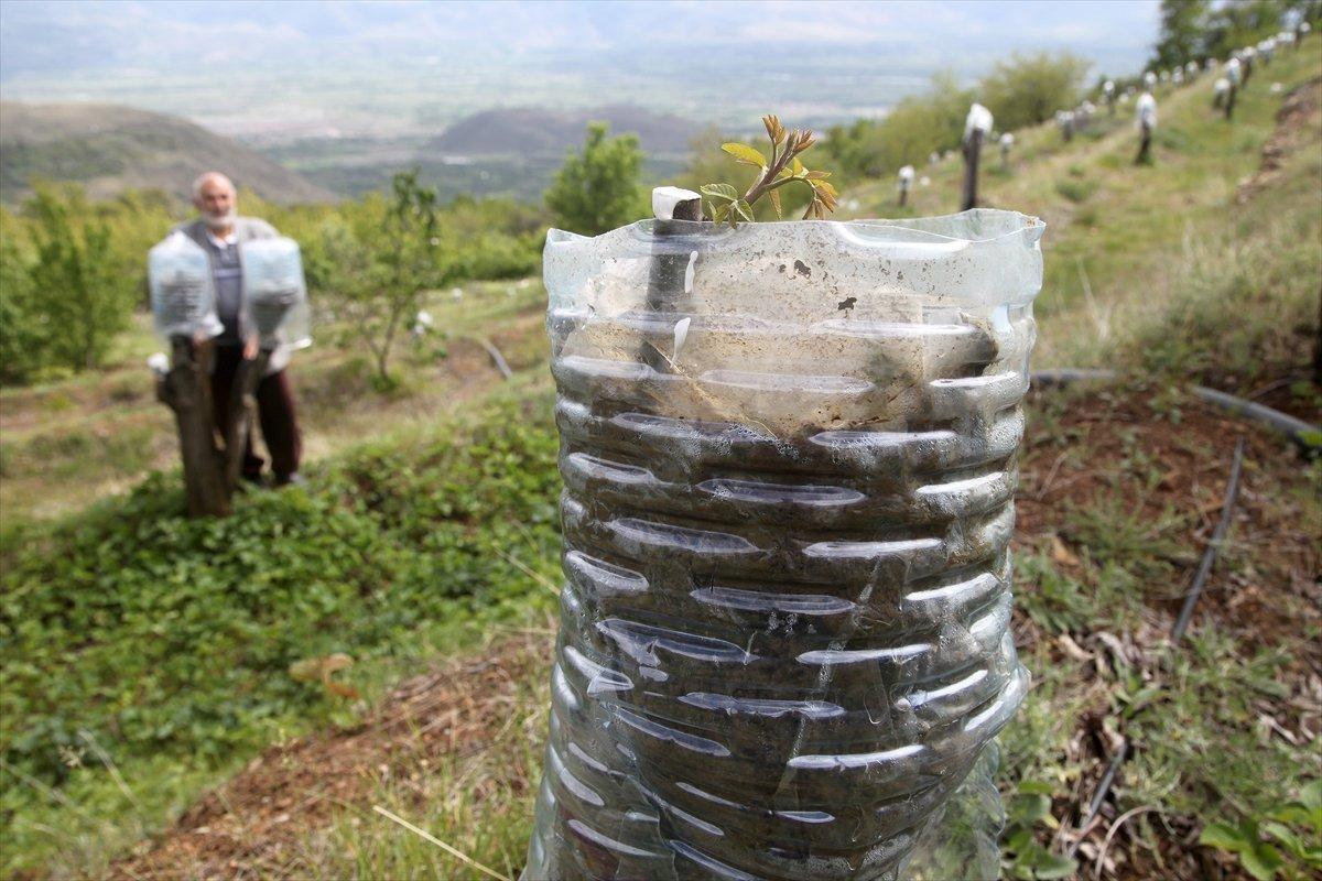 Erzincanlı çiftçiden dona karşı damacana ve poşetli önlem