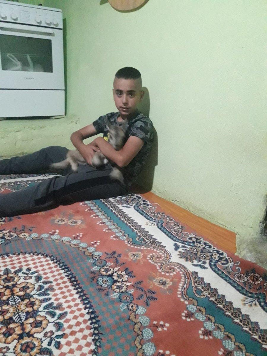 Tunceli'de bulunan yavru dağ keçisi annesine kavuştu