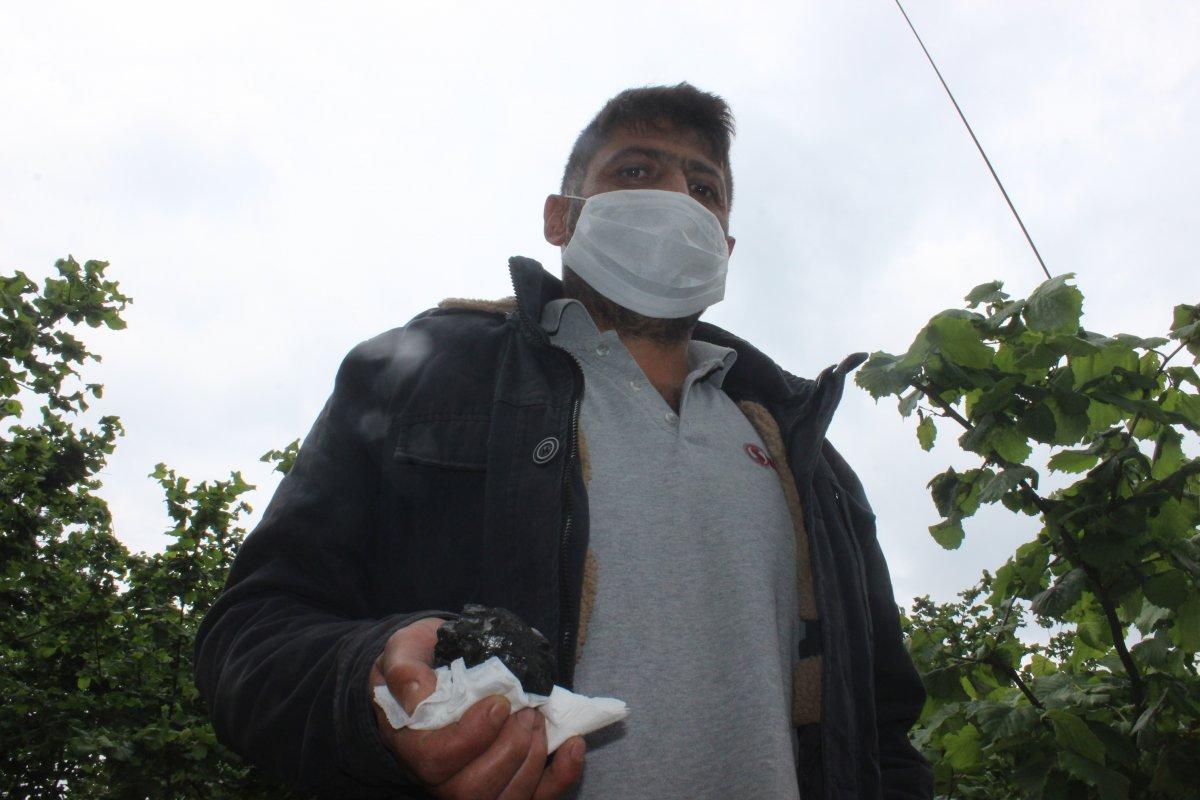 Düzce'de ot biçerken bahçede göktaşı buldu