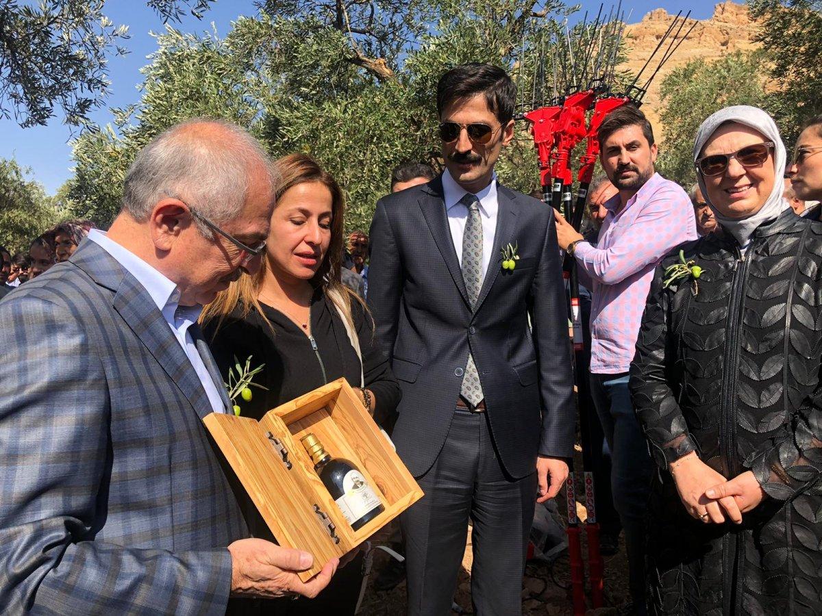 Derik zeytinyağının ilk ihracatı Tayvan'a oldu