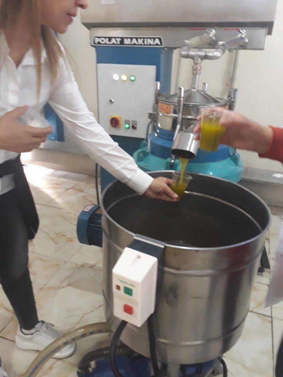 Derik zeytinyağının ilk ihracatı Tayvan'a oldu