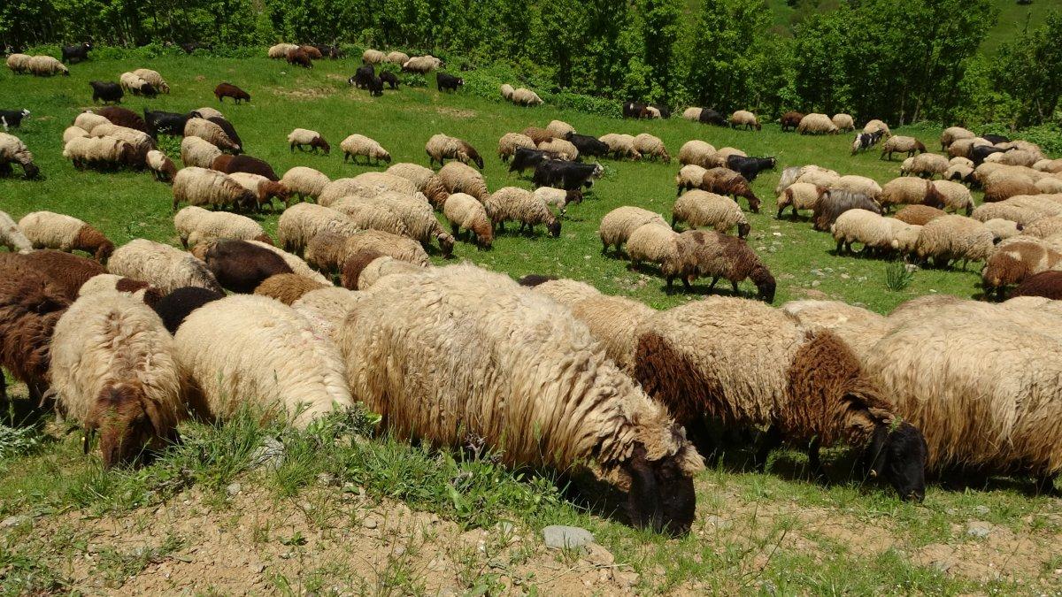Terörden arındırılan köylerine 27 yıl sonra döndüler