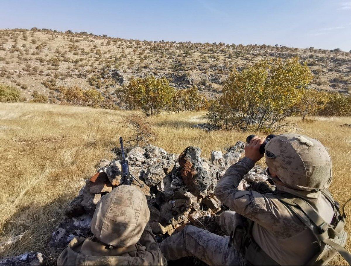 Mardin'de PKK operasyonu: 9 gözaltı