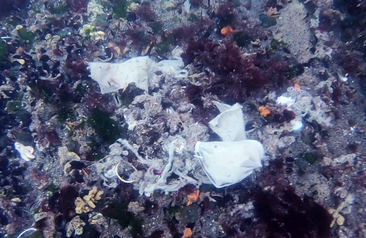 İstanbul Boğazı, maske ve eldivenlerle doldu