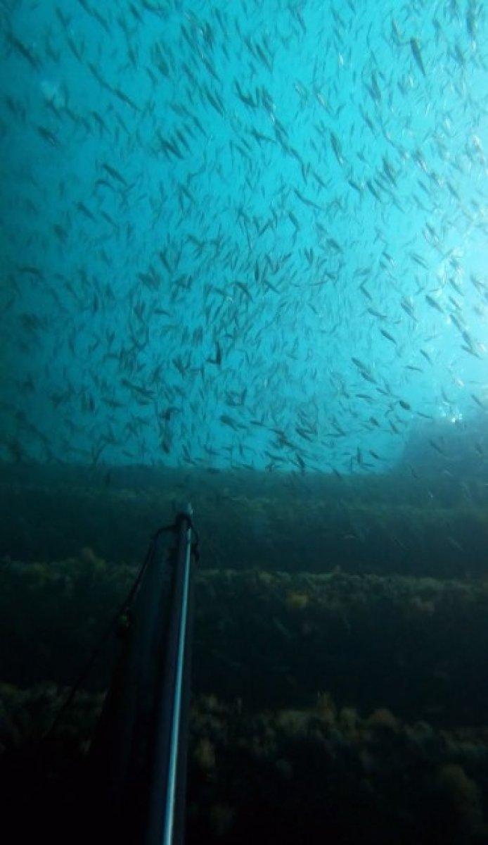 İstanbul Boğazı, maske ve eldivenlerle doldu
