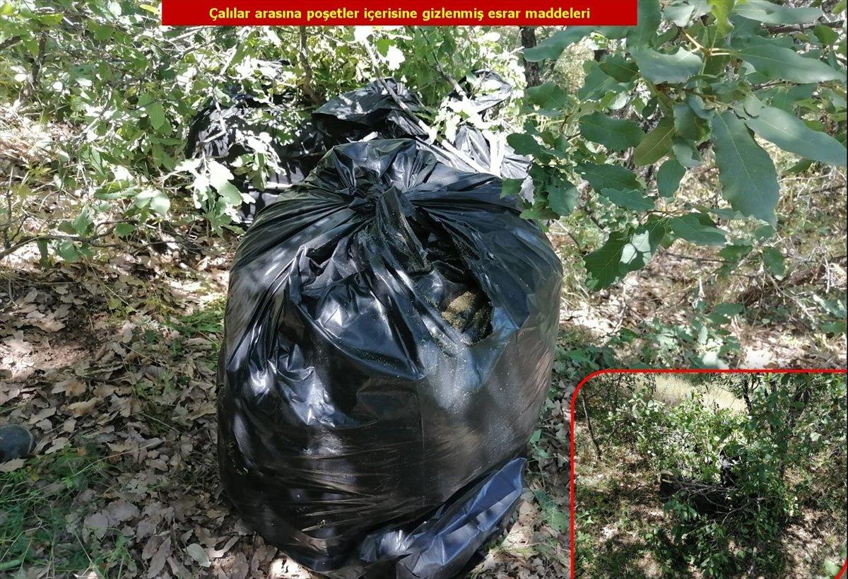 Diyarbakır'da 2 milyon 452 bin 500 kök kenevir bulundu