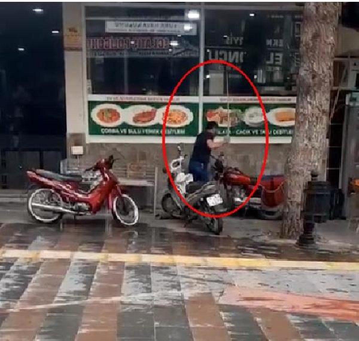 Manisa'da sokak köpeğini fırça sapıyla dövdü