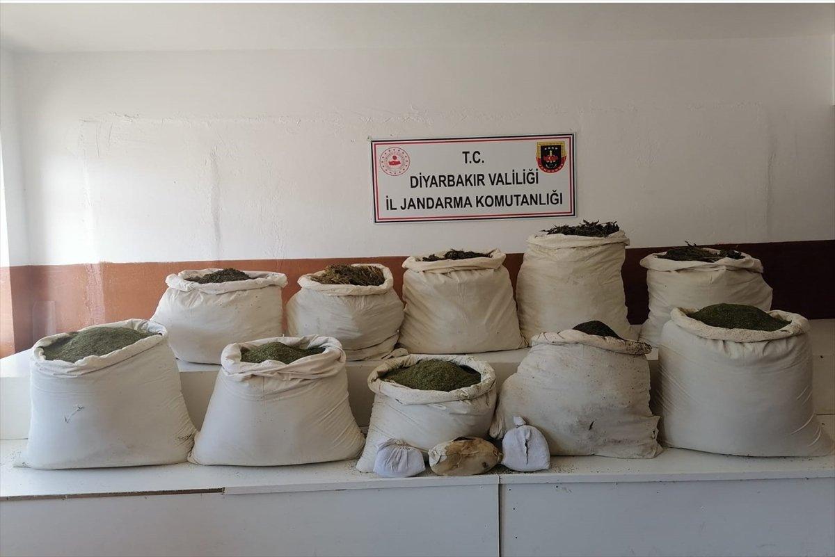 Diyarbakır'da 2 milyon 452 bin 500 kök kenevir bulundu