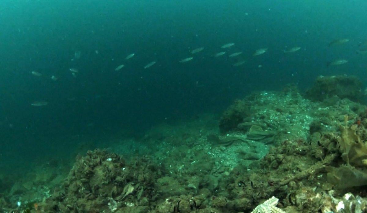 İstanbul Boğazı, maske ve eldivenlerle doldu