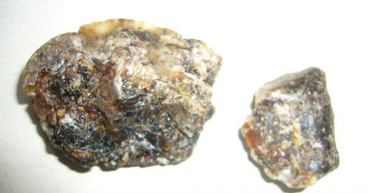 Balina kusmuğu nedir