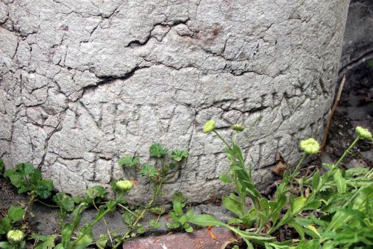 Bolu'da tarihi sütunun üstüne duvar ördüler