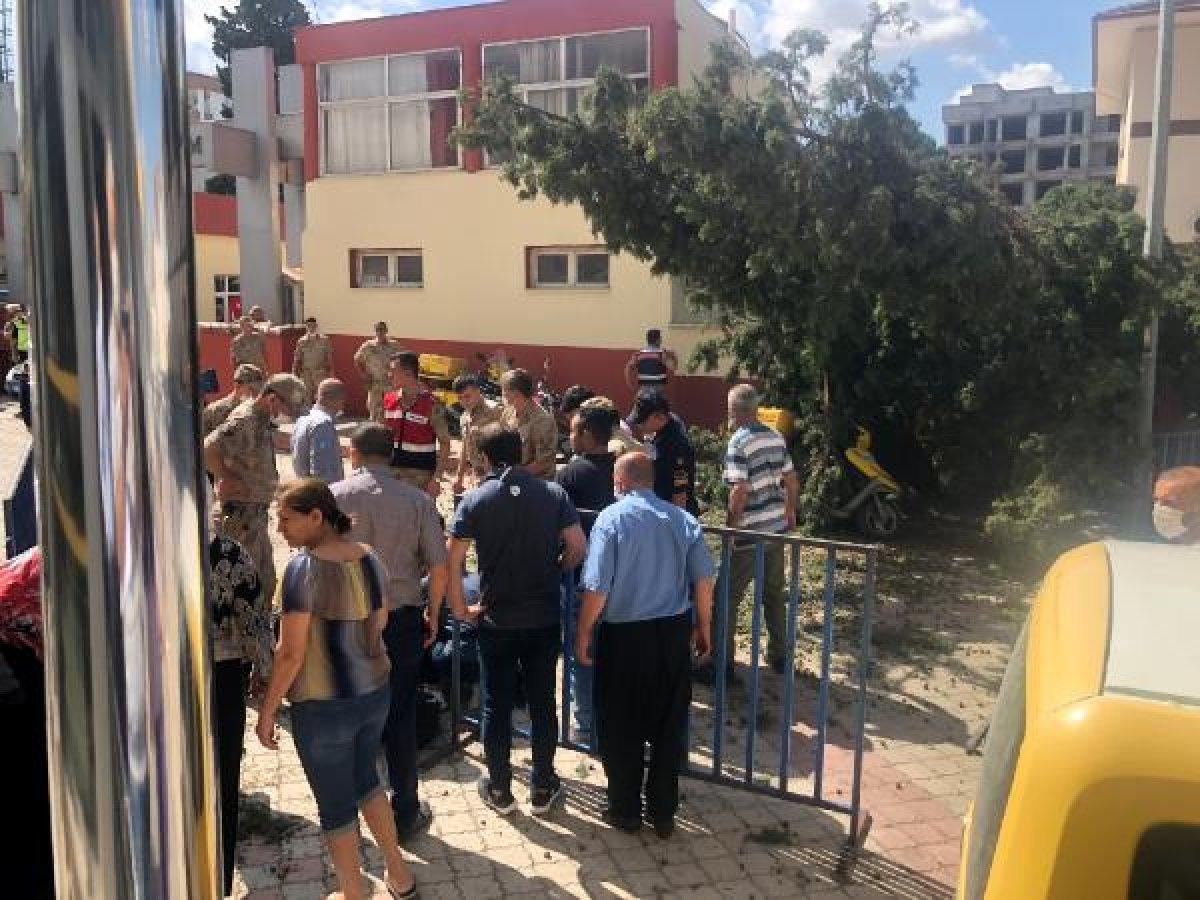 Osmaniye'de postacı, kesilen ağacın altında kaldı