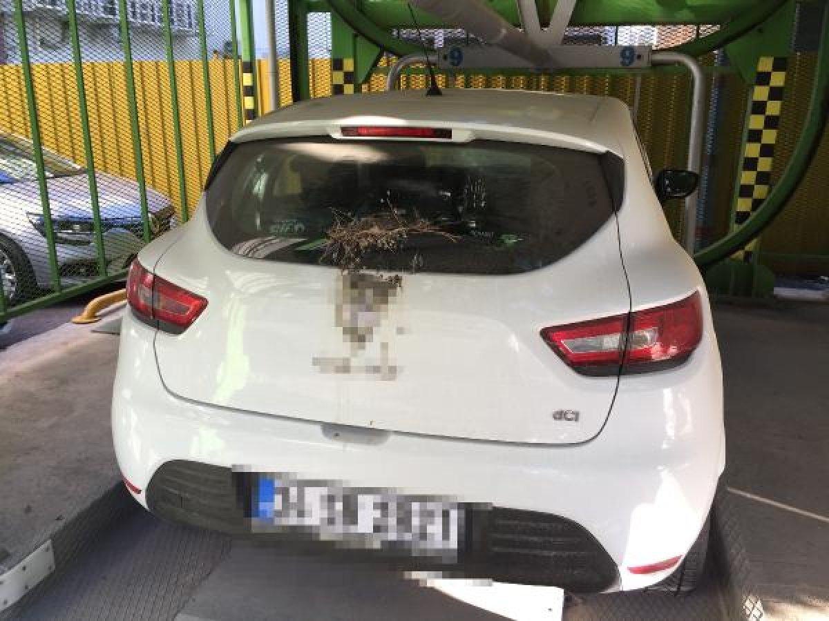 Kuşlar yuva yaptı diye 2 aydır aracını kullanmıyor