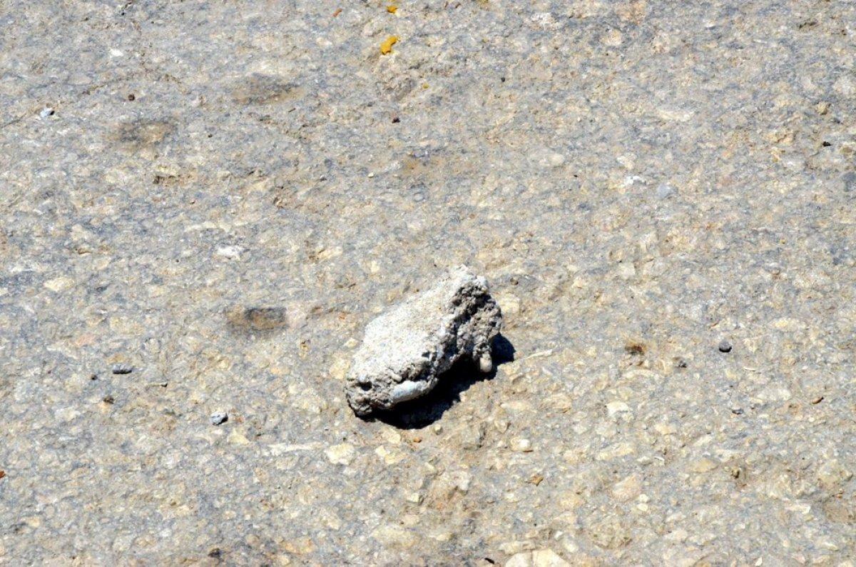 Antalya'da karantina uzatıldı, mahalleli polise taş attı