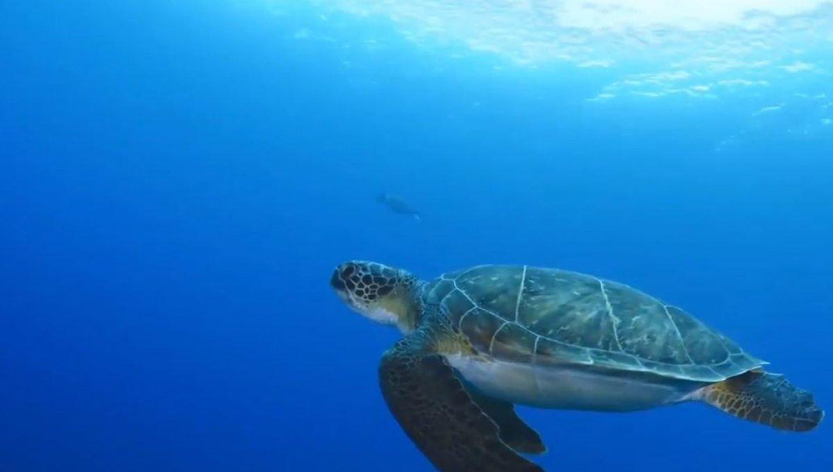 Türkiye'nin yeni tanıtım filmi yayınlandı