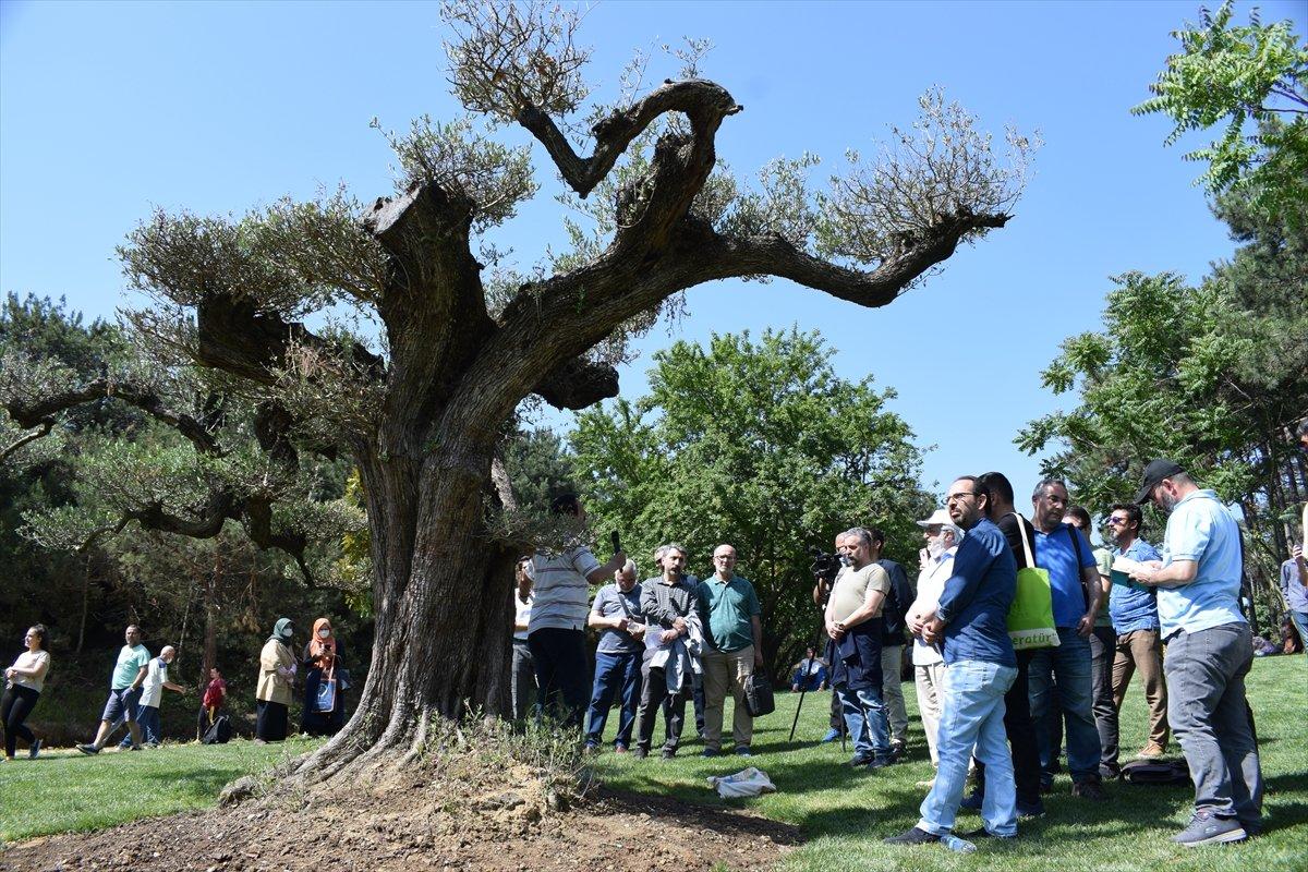 Şair Cahit Zarifoğlu, mezarında şiirleriyle anıldı