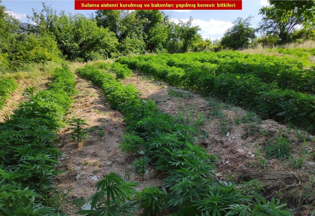 Diyarbakır'da 110 kilo esrar, 330 bin kök kenevir bulundu