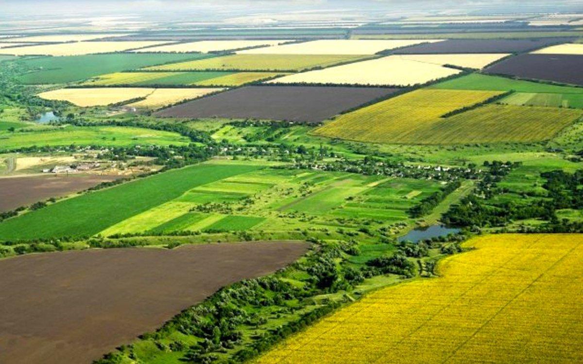 Çiftçiye Hazine'den ücretsiz arazi verilecek